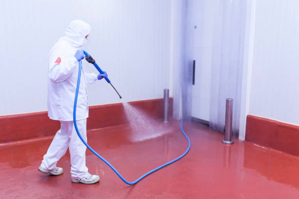 Best Driveway Pressure Washing  in Maple Bluff, WI